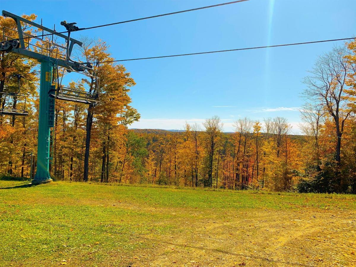 Maples Retreat - 2 Acres - Fireplace Ellicottville Eksteriør bilde